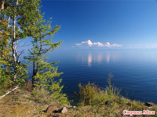Подскажите...