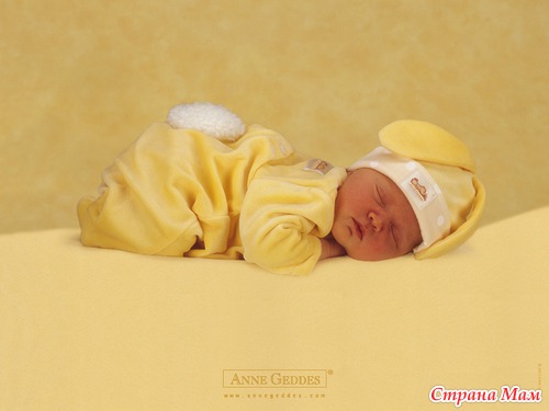   Anne Geddes