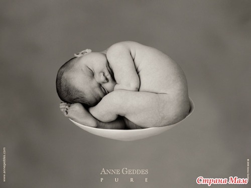   Anne Geddes