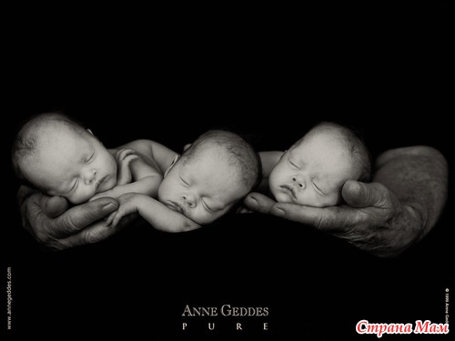   Anne Geddes