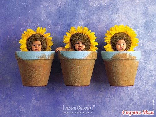   Anne Geddes