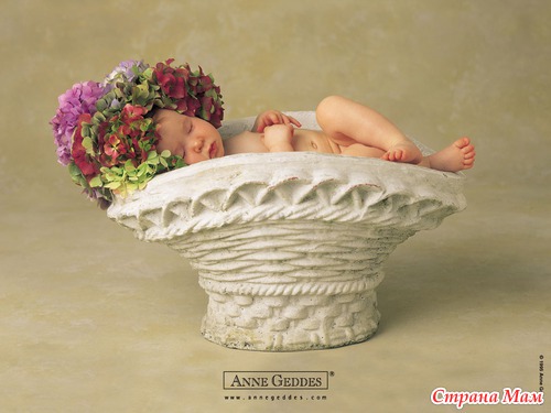   Anne Geddes