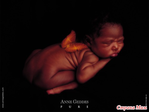   Anne Geddes