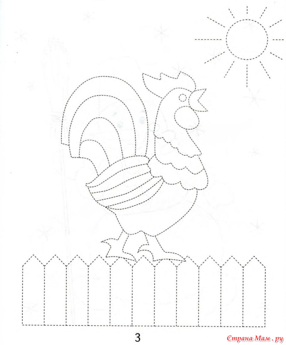 Задания золотой. Обводка для дошкольников домашние птицы. Штриховка домашние птицы. Домашние птицы штриховка для детей. Обводка по штриховке петушок.