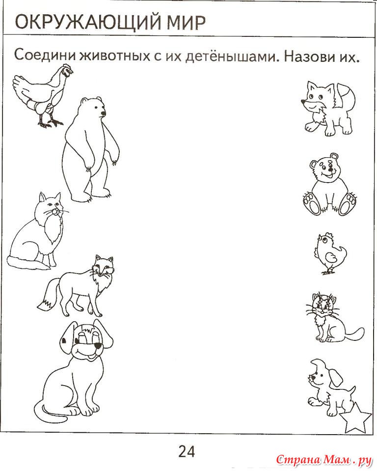 Окружающий мир 4 года задания. Задание п окружающему миру для дошкольников. Окружающий мир для дошкольников здания. Задания по окружающему миру для до. Задания по окружающем миру для дошкольников.