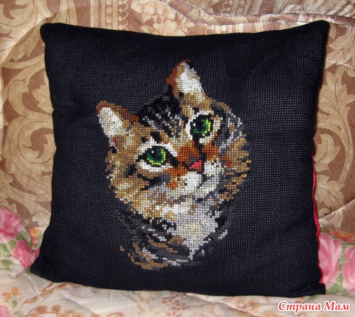Кошки, которые не вызывают аллергию.