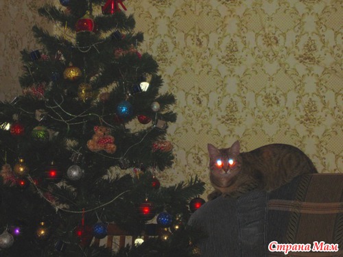 Новый год уже в пути!!!