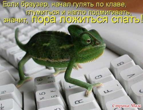 Прикольные фото животных!