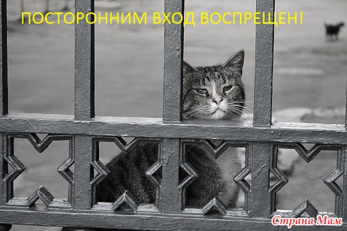 Что делать, если у тебя в семье растет маленькая волшебница!?