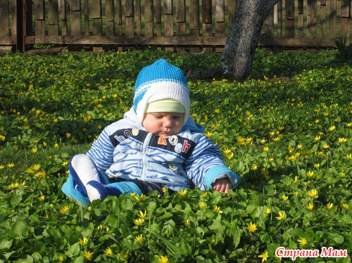 Новичок