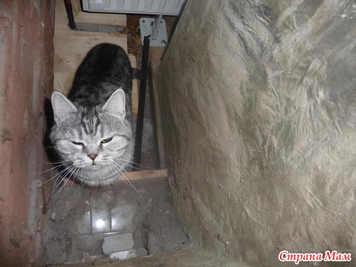 ������-���!!