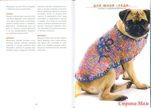 Вязание для животных!