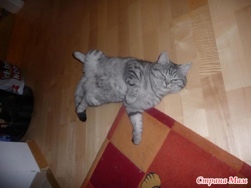 ������-���!!