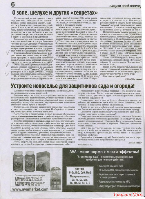 ������ ���� ������