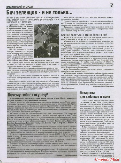 ������ ���� ������