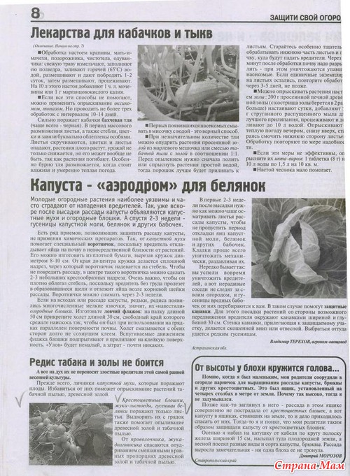 ������ ���� ������