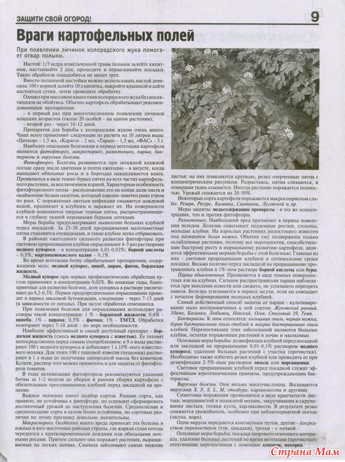 ������ ���� ������