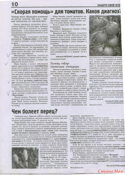 ������ ���� ������