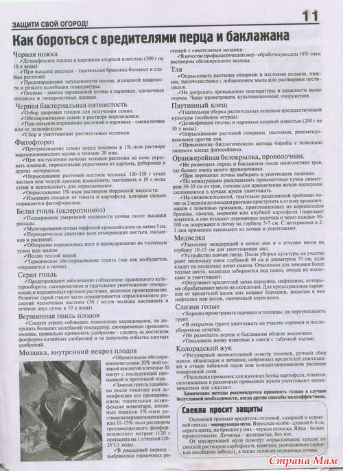 ������ ���� ������