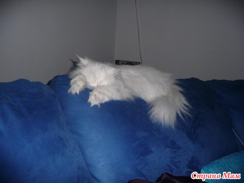 ������-���!!