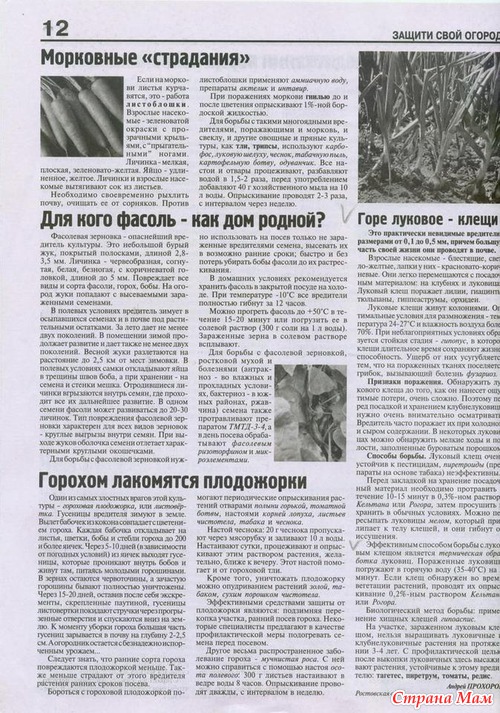 ������ ���� ������