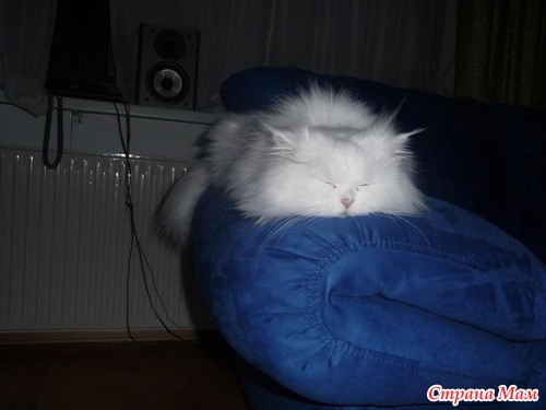 ������-���!!