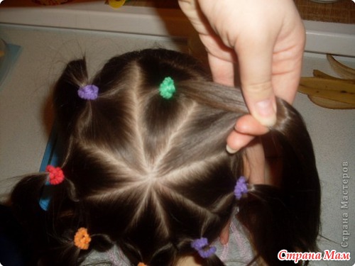 ������ "�������"