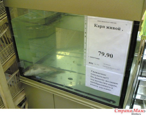 Немного юмора
