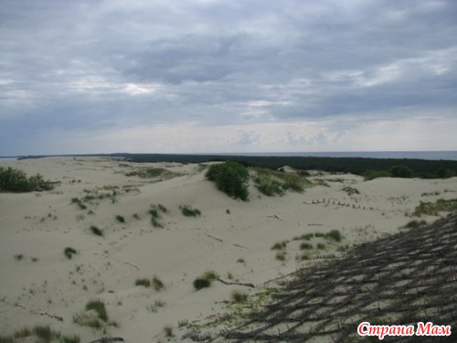 КУРШКАЯ КОСА БАЛТИЙСКОГО МОРЯ....