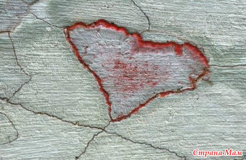 Сердца природы
