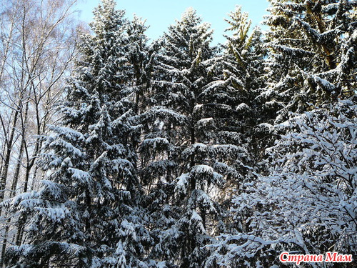 � � ���� ������ ��������� ������.....