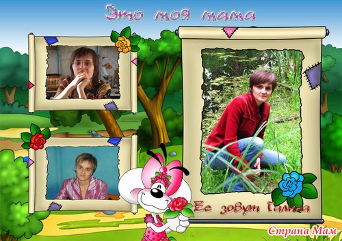 ��������