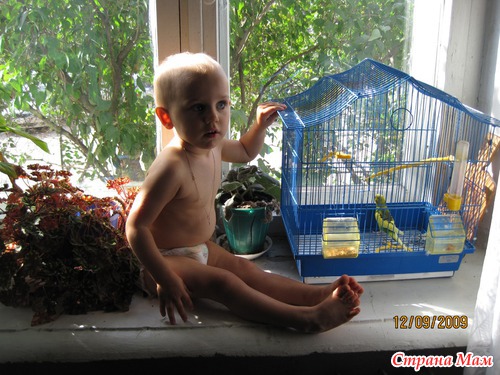 ��� ����� ��� ��������