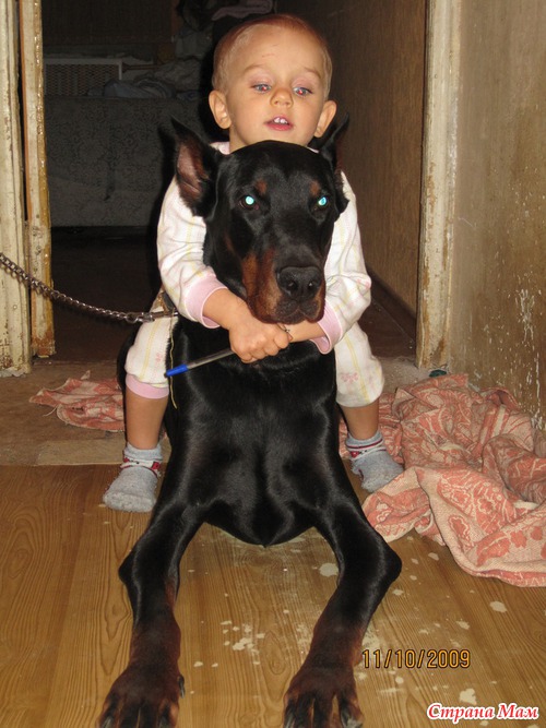 ��� ����� ��� ��������