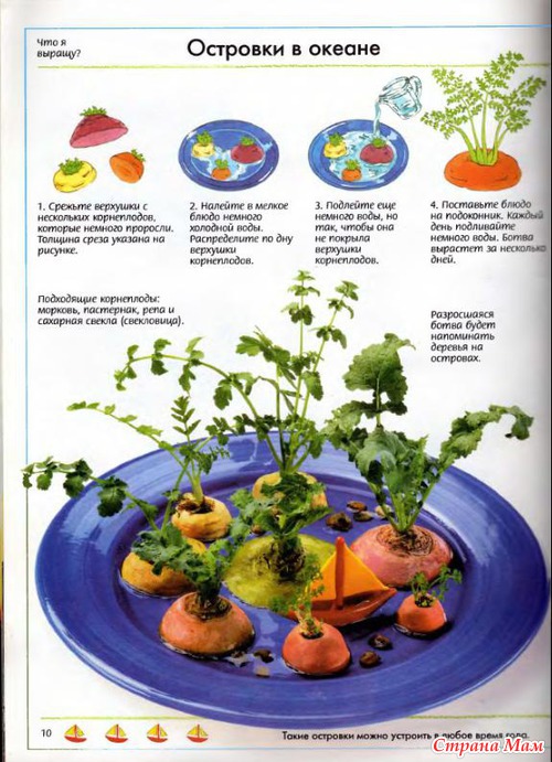 ������ �� ��� ��� ��� ������ �������