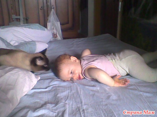 ��� ������� !!!