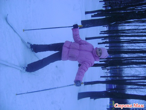 ������ ������