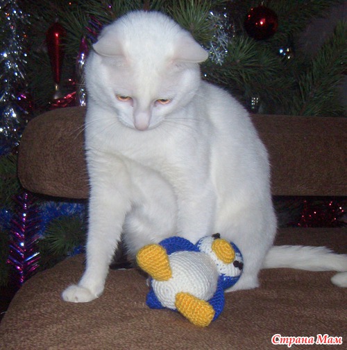 �� �������! ����� ���� �����������.