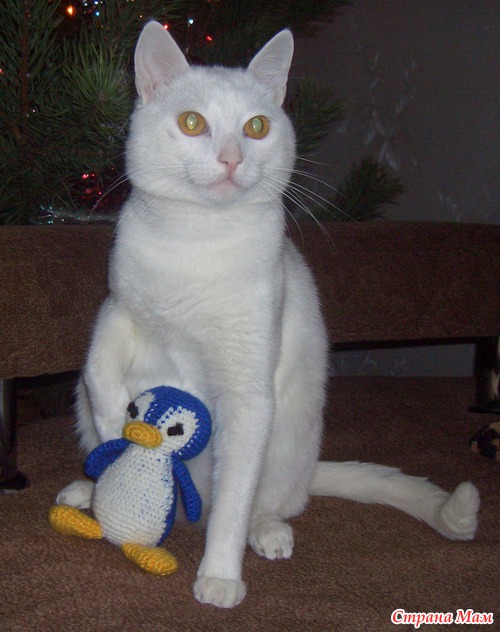 �� �������! ����� ���� �����������.