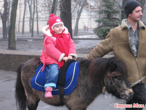 ���� - ����� =) ����� � ����� ����������. ����� 3-�. ��� ��������� ����, ��������� � ���������