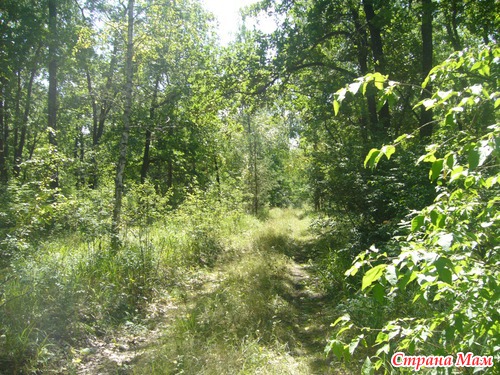 ��� ������ ����