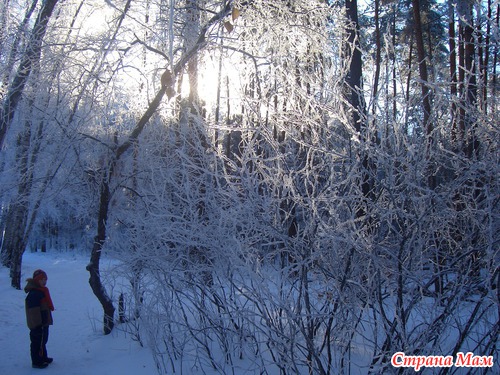 ������ ������ .