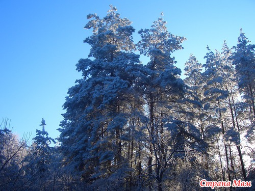 ������ ������ .