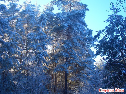 ������ ������ .