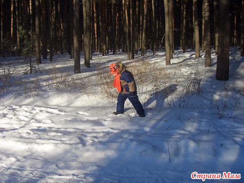 ������ ������ .