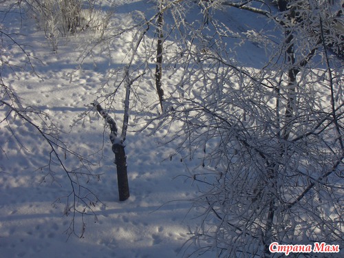 ������ ������ .