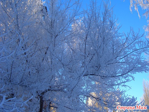 ������ ������ .