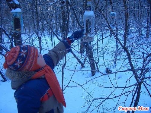 ������ ������ .