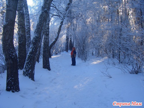 ������ ������ .