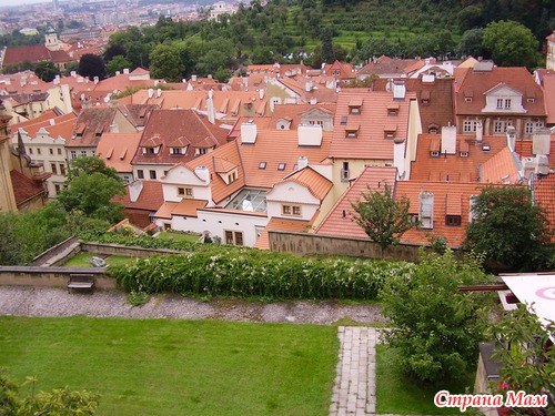 ����� ����� �������